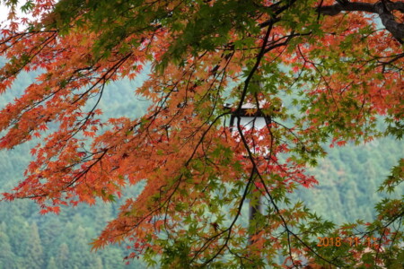 吉野山の紅葉2