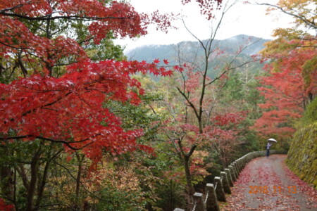 吉野山を散策2