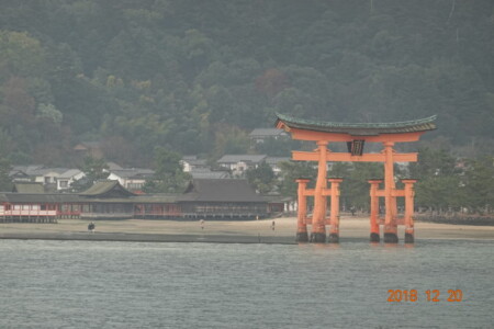 宮島の大鳥居