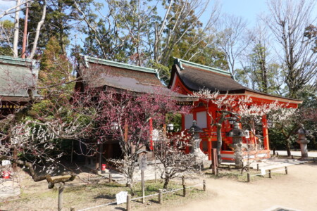 北野天満宮 北野天満宮