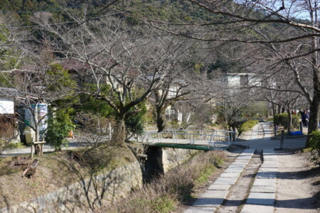 哲学の道 哲学の道