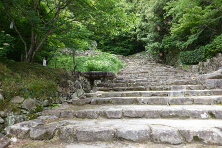 安土城跡 大手道