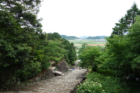 安土城跡 大手道