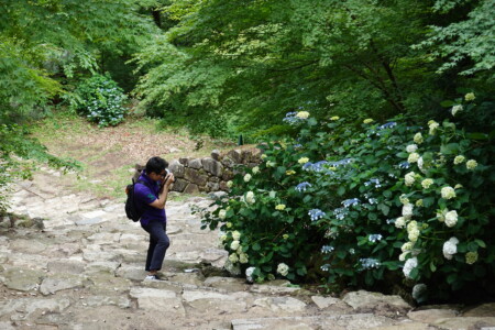 安土城跡 大手道